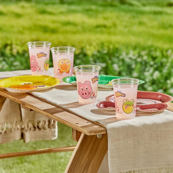 Hefty Zoo Pals Cups and Plates sitting on an outdoor picnic table